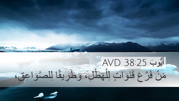 أَيُّوبَ 38:25 AVD Bible Verse Image