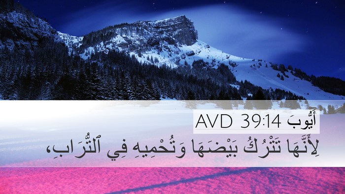 أَيُّوبَ 39:14 AVD Bible Verse Image