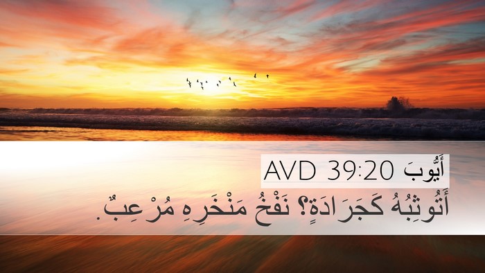 أَيُّوبَ 39:20 AVD Desktop Wallpaper - أَتُوثِبُهُ كَجَرَادَةٍ؟ - Desktop Bible Verse Wallpaper