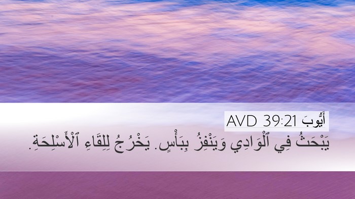 أَيُّوبَ 39:21 AVD Desktop Wallpaper - يَبْحَثُ فِي ٱلْوَادِي - Desktop Bible Verse Wallpaper