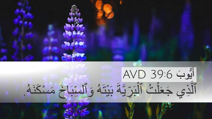 أَيُّوبَ 39:6 AVD Bible Verse Image