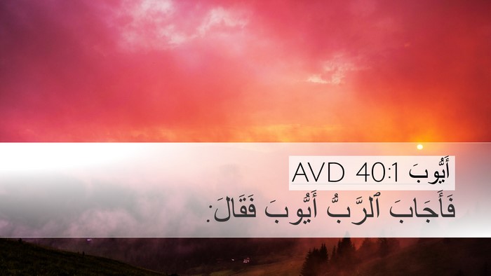 أَيُّوبَ 40:1 AVD Bible Verse Image