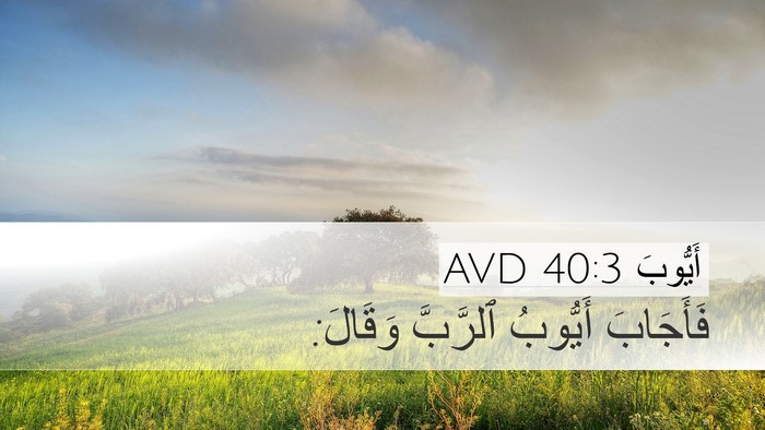 أَيُّوبَ 40:3 AVD Bible Verse Image