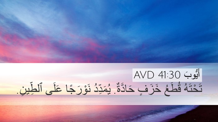 أَيُّوبَ 41:30 AVD Desktop Wallpaper - تَحْتَهُ قُطَعُ خَزَفٍ - Desktop Bible Verse Wallpaper
