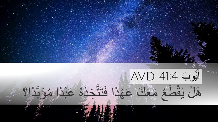أَيُّوبَ 41:4 AVD Bible Verse Image