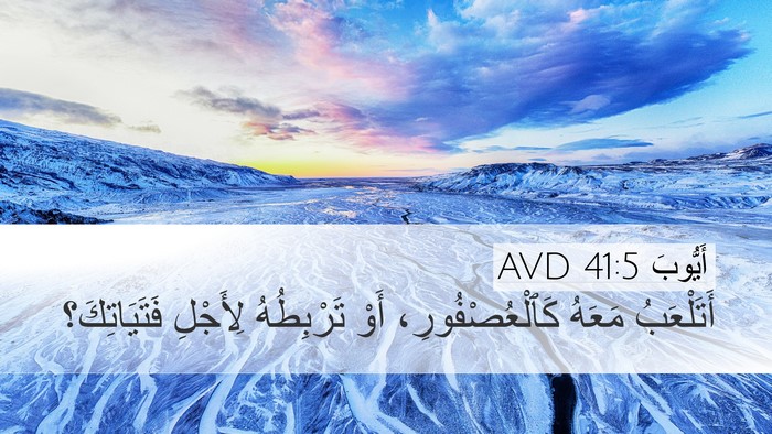 أَيُّوبَ 41:5 AVD Desktop Wallpaper - أَتَلْعَبُ مَعَهُ - Desktop Bible Verse Wallpaper