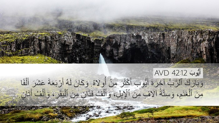 أَيُّوبَ 42:12 AVD Bible Verse Image