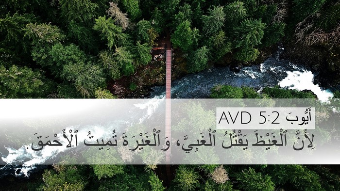 أَيُّوبَ 5:2 AVD Bible Verse Image