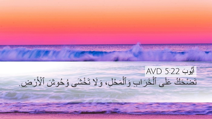 أَيُّوبَ 5:22 AVD Bible Verse Image
