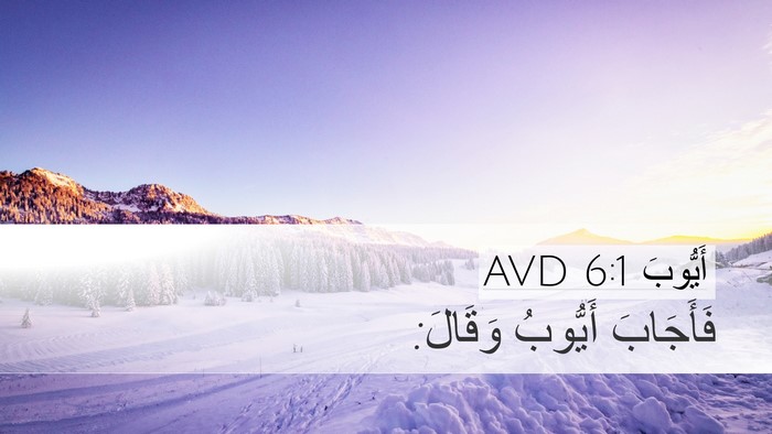 أَيُّوبَ 6:1 AVD Bible Verse Image