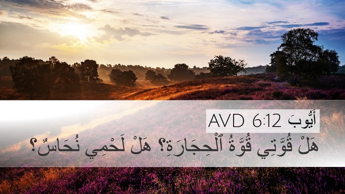 أَيُّوبَ 6:12 AVD Bible Verse Image