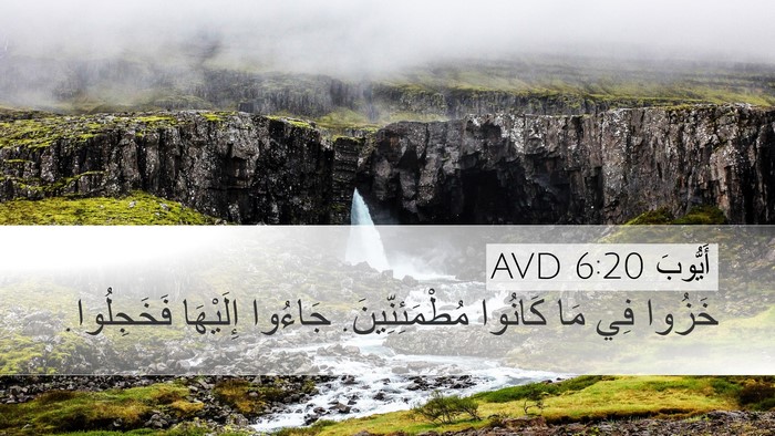 أَيُّوبَ 6:20 AVD Bible Verse Image
