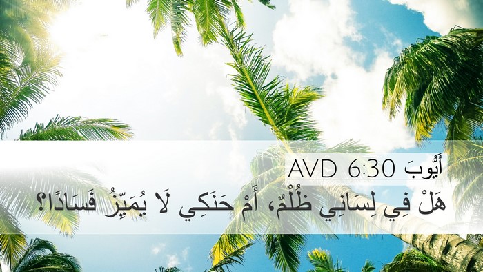 أَيُّوبَ 6:30 AVD Bible Verse Image
