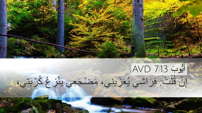 أَيُّوبَ 7:13 AVD Bible Verse Image