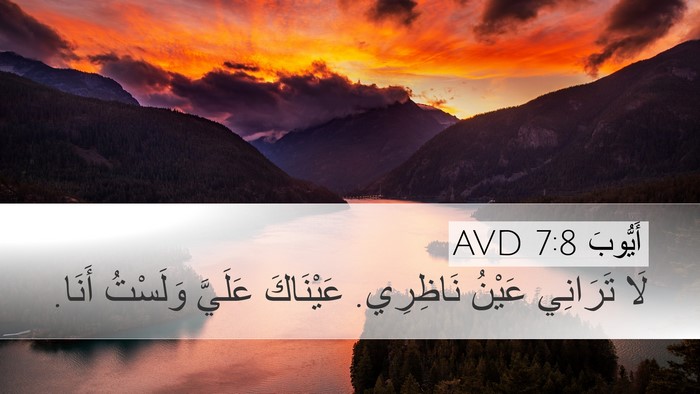 أَيُّوبَ 7:8 AVD Bible Verse Image