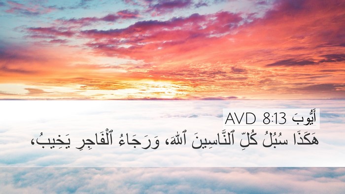 أَيُّوبَ 8:13 AVD Bible Verse Image