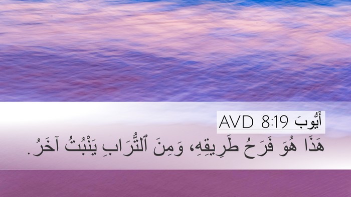 أَيُّوبَ 8:19 AVD Bible Verse Image
