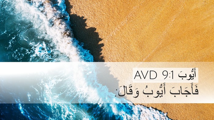 أَيُّوبَ 9:1 AVD Desktop Wallpaper - فَأَجَابَ أَيُّوبُ - Desktop Bible Verse Wallpaper