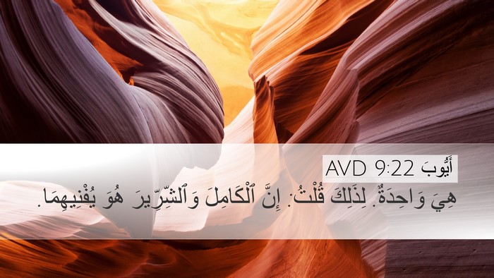 أَيُّوبَ 9:22 AVD Bible Verse Image