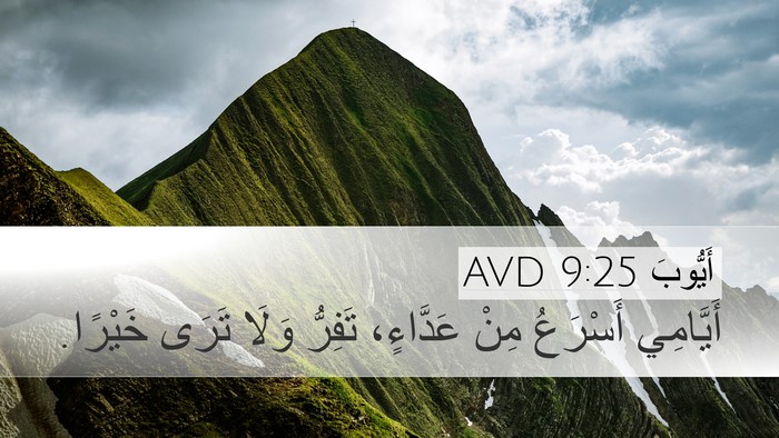 أَيُّوبَ 9:25 AVD Bible Verse Image