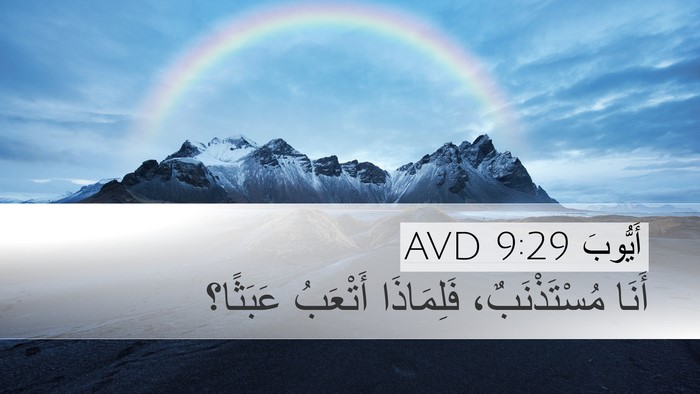 أَيُّوبَ 9:29 AVD Bible Verse Image