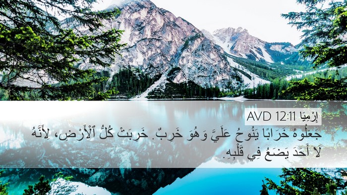 إِرْمِيَا 12:11 AVD Bible Verse Image