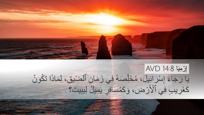 إِرْمِيَا 14:8 AVD Bible Verse Image