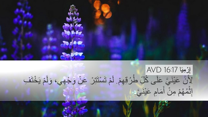 إِرْمِيَا 16:17 AVD Bible Verse Image