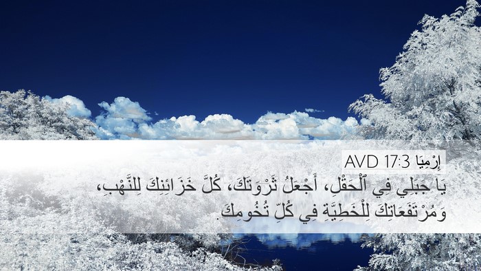 إِرْمِيَا 17:3 AVD Desktop Wallpaper - يَا جَبَلِي فِي ٱلْحَقْلِ، - Desktop Bible Verse Wallpaper
