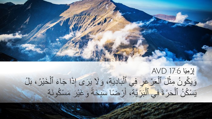 إِرْمِيَا 17:6 AVD Desktop Wallpaper - وَيَكُونُ مِثْلَ - Desktop Bible Verse Wallpaper
