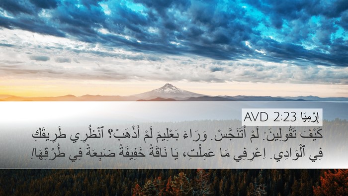 إِرْمِيَا 2:23 AVD Bible Verse Image