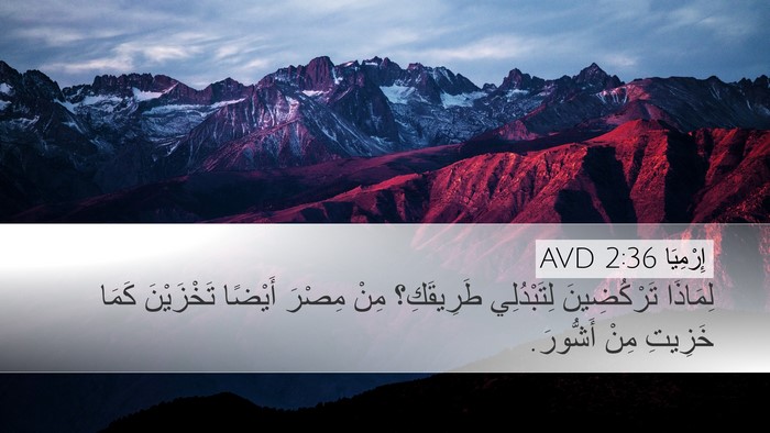 إِرْمِيَا 2:36 AVD Bible Verse Image