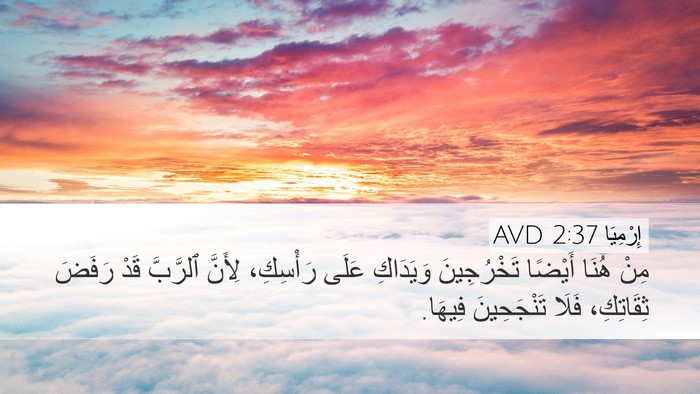 إِرْمِيَا 2:37 AVD Bible Verse Image