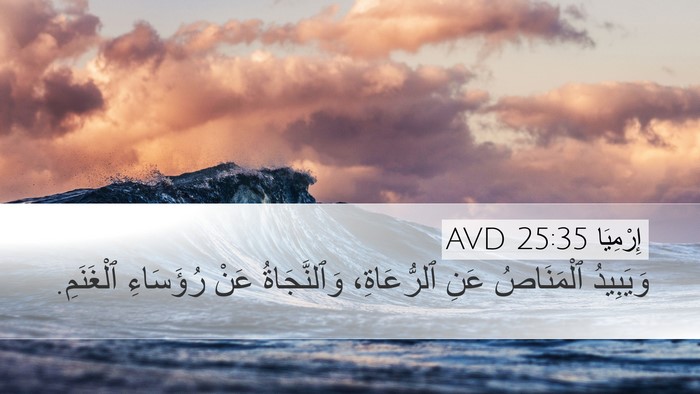 إِرْمِيَا 25:35 AVD Desktop Wallpaper - وَيَبِيدُ ٱلْمَنَاصُ عَنِ - Desktop Bible Verse Wallpaper