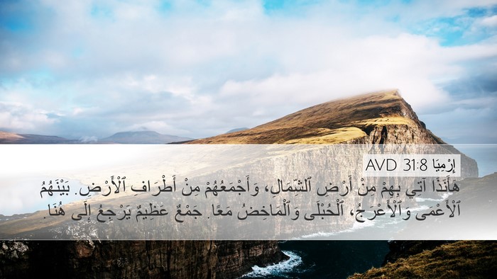 إِرْمِيَا 31:8 AVD Bible Verse Image