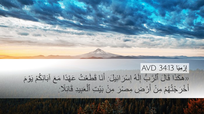 إِرْمِيَا 34:13 AVD Bible Verse Image