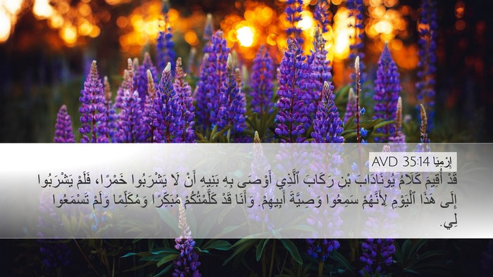 إِرْمِيَا 35:14 AVD Bible Verse Image