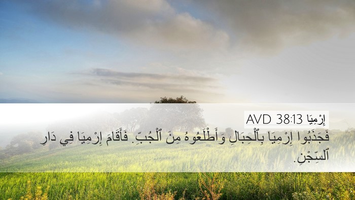 إِرْمِيَا 38:13 AVD Desktop Wallpaper - فَجَذَبُوا إِرْمِيَا - Desktop Bible Verse Wallpaper