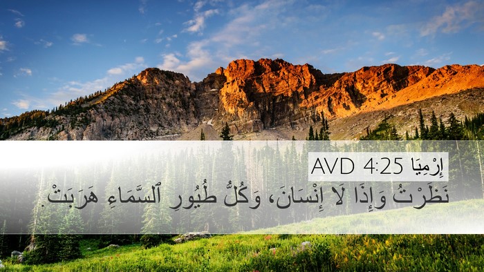 إِرْمِيَا 4:25 AVD Desktop Wallpaper - نَظَرْتُ وَإِذَا لَا - Desktop Bible Verse Wallpaper