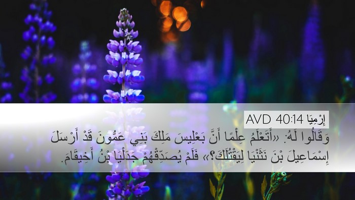 إِرْمِيَا 40:14 AVD Desktop Wallpaper - وَقَالُوا لَهُ: - Desktop Bible Verse Wallpaper