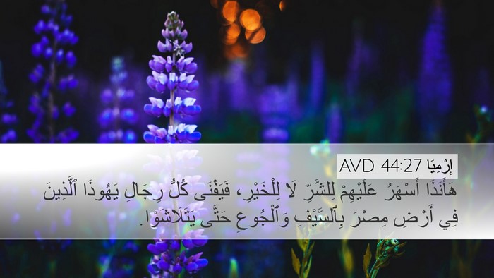 إِرْمِيَا 44:27 AVD Bible Verse Image