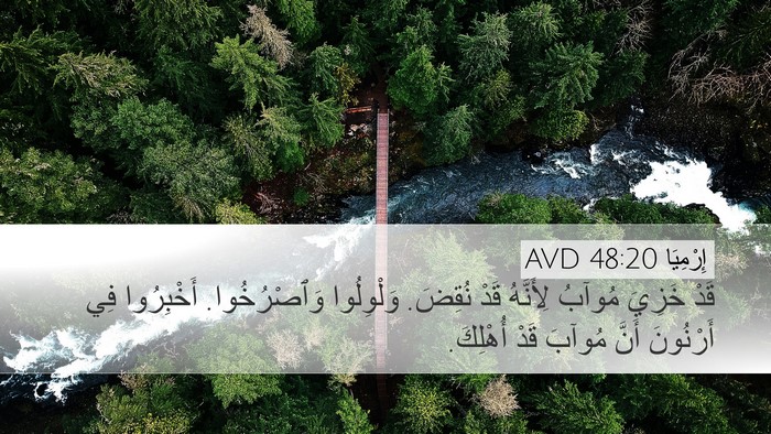 إِرْمِيَا 48:20 AVD Bible Verse Image