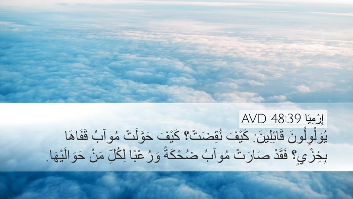 إِرْمِيَا 48:39 AVD Bible Verse Image