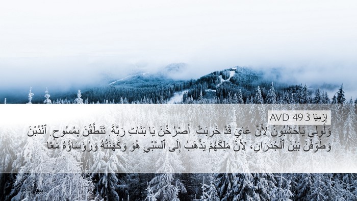 إِرْمِيَا 49:3 AVD Desktop Wallpaper - وَلْوِلِي يَاحَشْبُونُ - Desktop Bible Verse Wallpaper