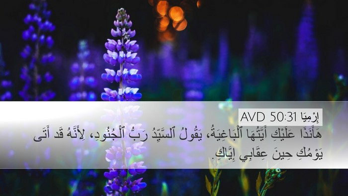 إِرْمِيَا 50:31 AVD Bible Verse Image