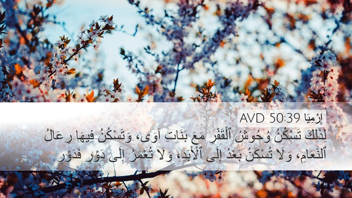 إِرْمِيَا 50:39 AVD Bible Verse Image