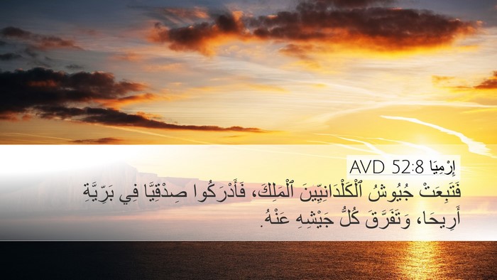 إِرْمِيَا 52:8 AVD Bible Verse Image