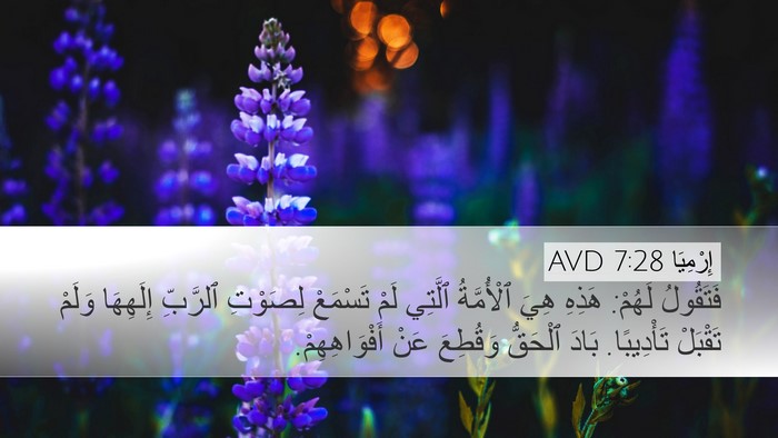 إِرْمِيَا 7:28 AVD Desktop Wallpaper - فَتَقُولُ لَهُمْ: هَذِهِ - Desktop Bible Verse Wallpaper