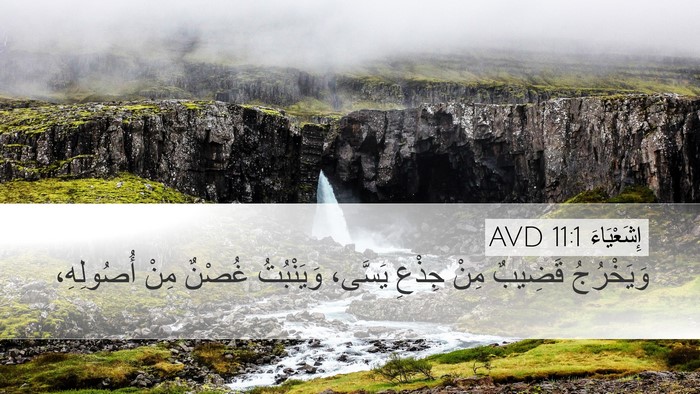 إِشَعْيَاءَ 11:1 AVD Bible Verse Image
