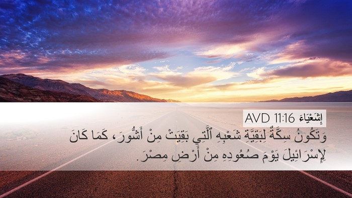 إِشَعْيَاءَ 11:16 AVD Bible Verse Image
